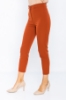 Picture of Woman Cinnamon Normal Waist Skinny Trotter Work Trousers