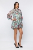 Picture of Woman Mint Long Maxi Sleeved pleated Chiffon Dress