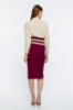 Picture of Woman Purple Knee Length Zipper Detailed Classical Skirt