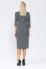 Picture of Woman Black - White three quarter Trojan Sleeve French Size Classical Dress