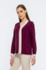 Picture of Woman Bordeux Maroon V Neck Two Colour Work Blouse